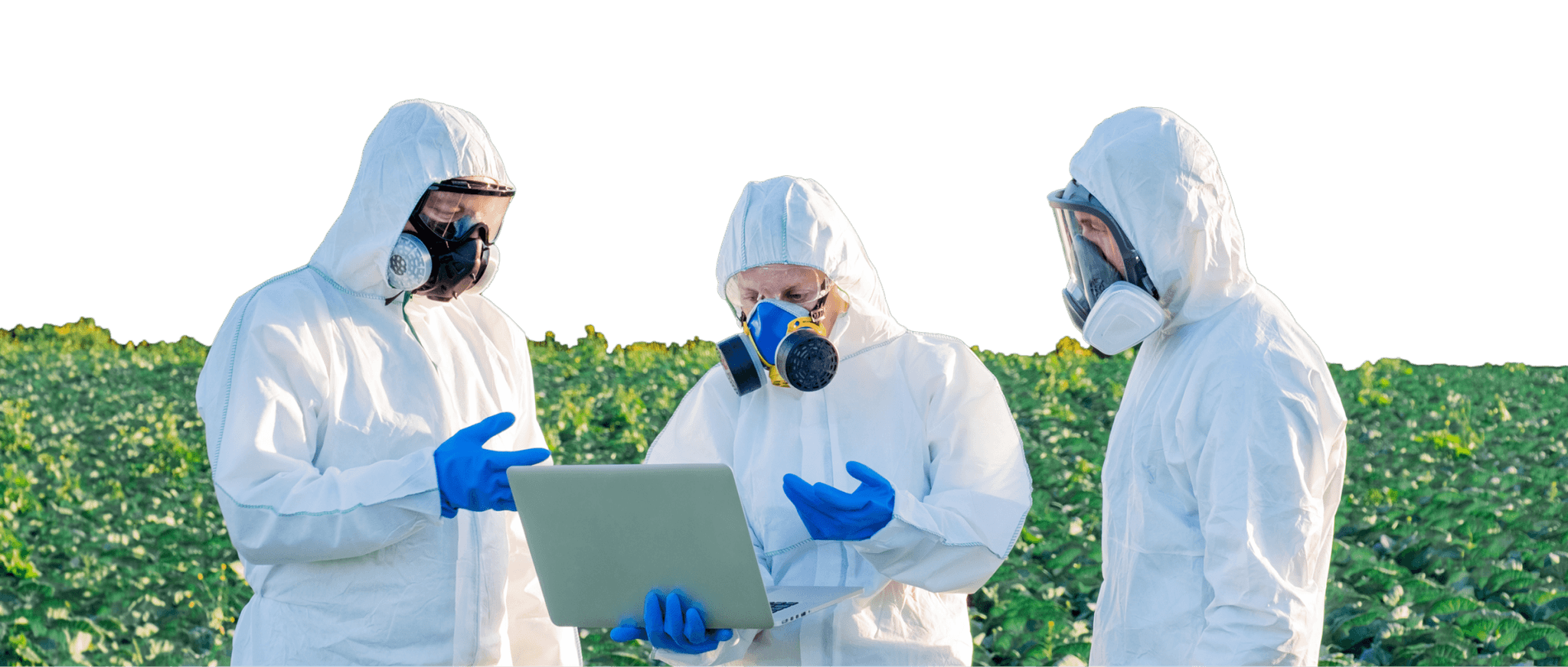 Binghamton Pest Control Professional Team