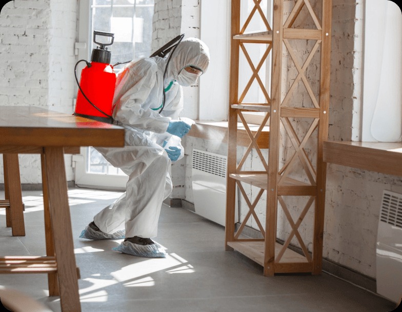 Professional pest control treatment in home